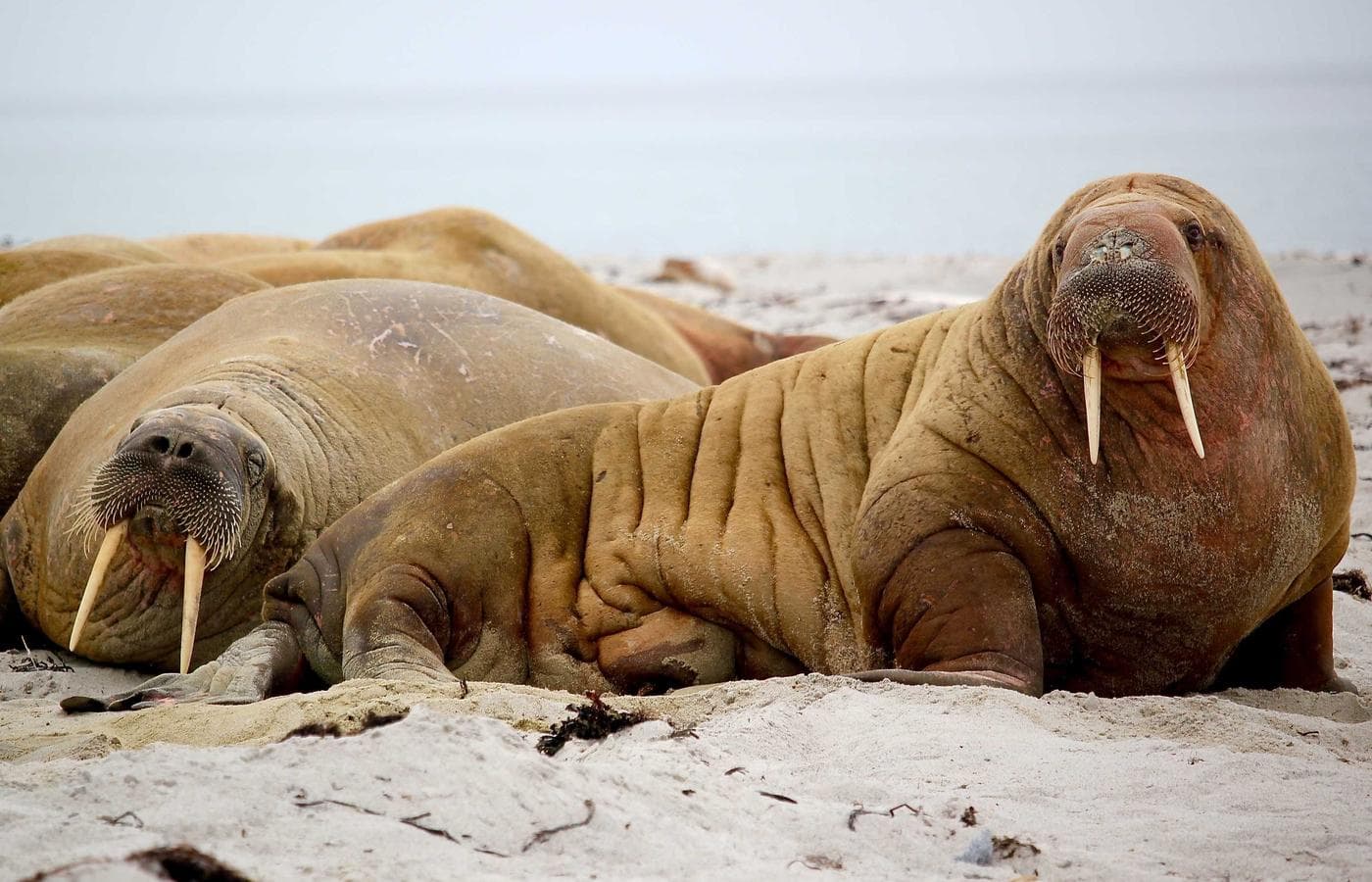 Νέο οδικό πακέτο ασφάλειας για ορεινές διαδρομές και γέφυρες